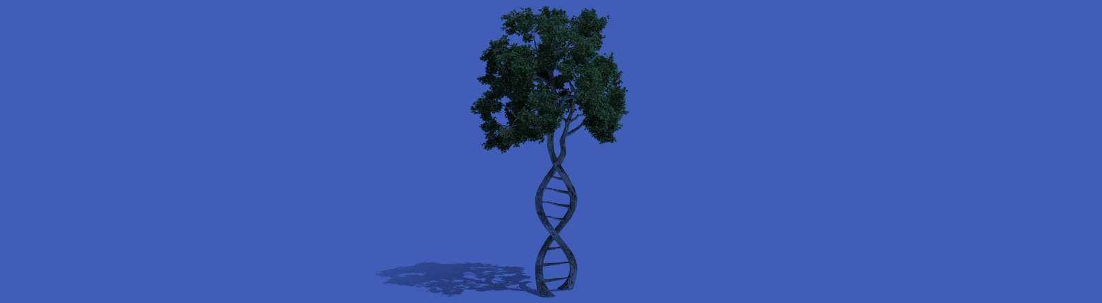 Fostering Gene Therapy Development [Part 2]: The Blueprint